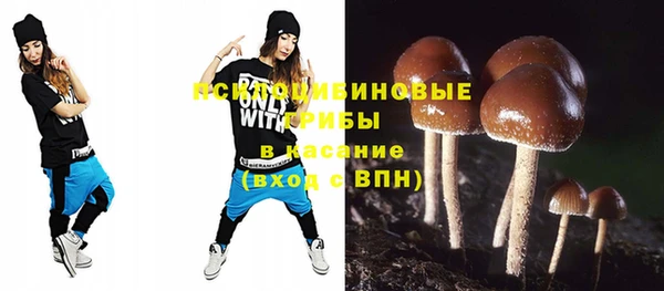 герыч Няндома